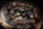 UNVEILING THE LEGEND: A CLOSER LOOK AT ROGER DUBUIS 'OMINISCIENT MERLIN'